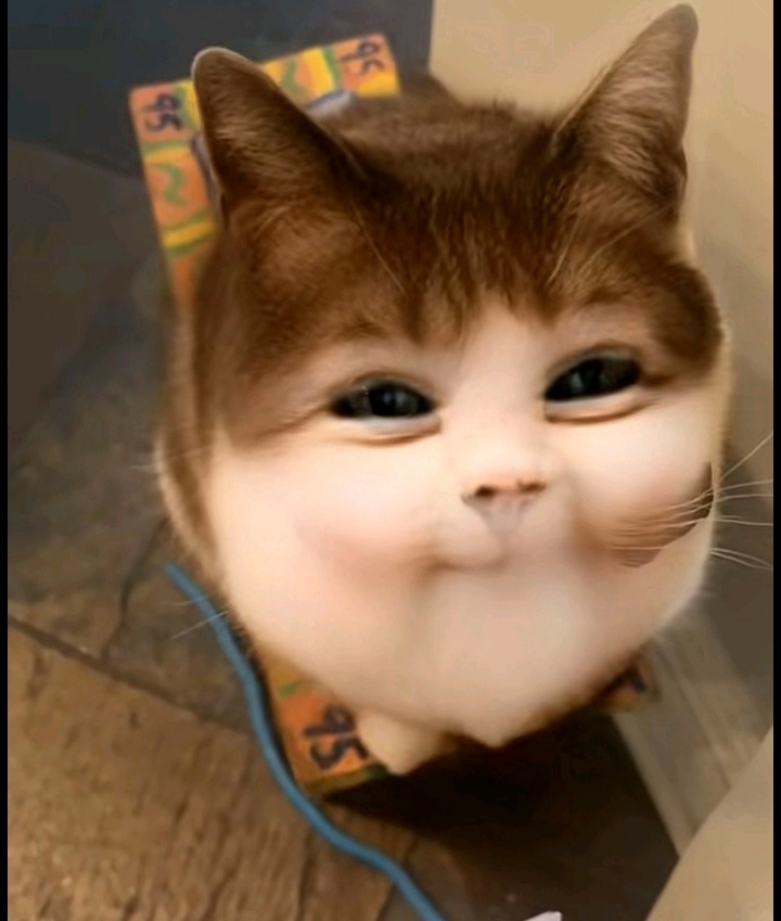 1000000446