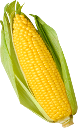 1754945473427 1754945473427