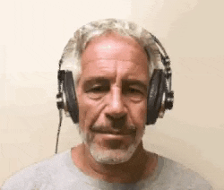 Epstein meme