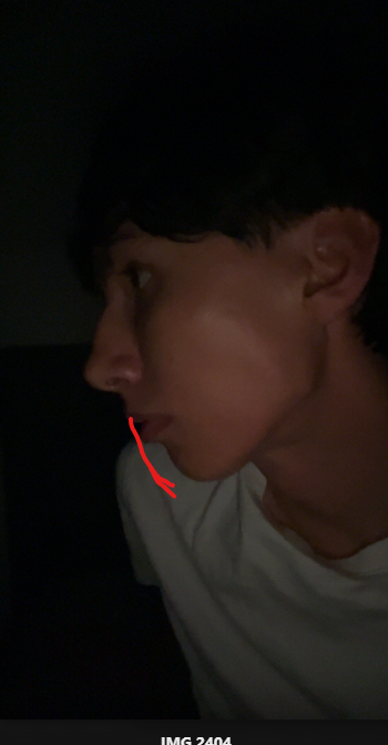 1755113636589