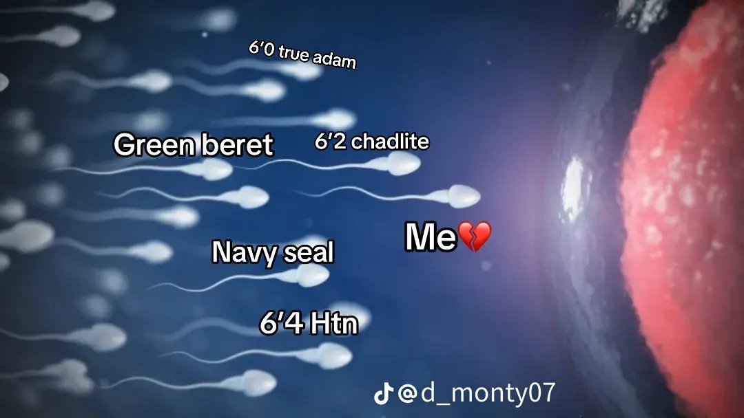 Temp image 37D28C45 FBF5 4BD1 B7B7 F8D34787DD5D