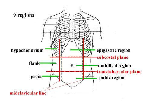 OIP 2999601191