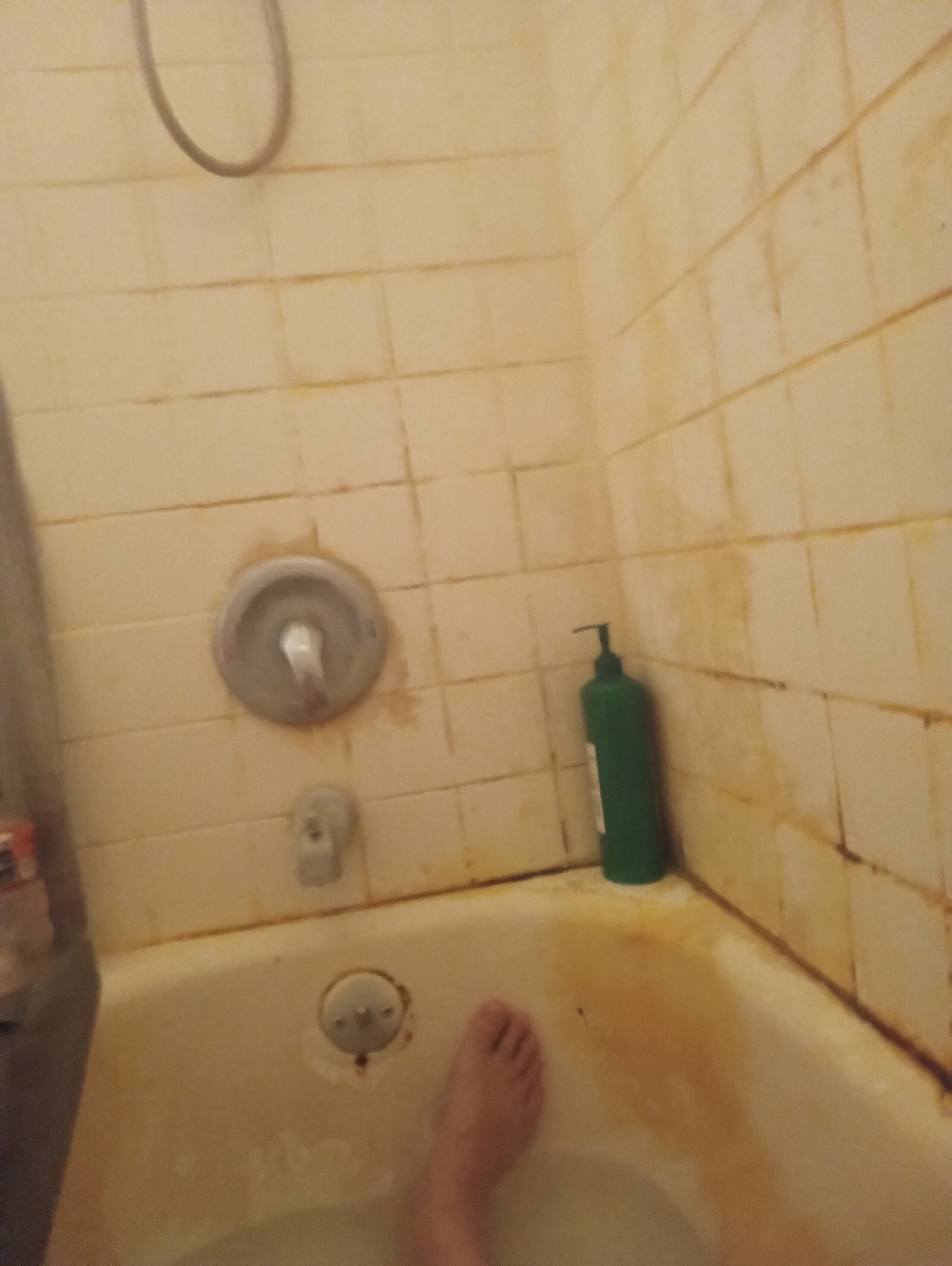 IMG 20250813 200445578