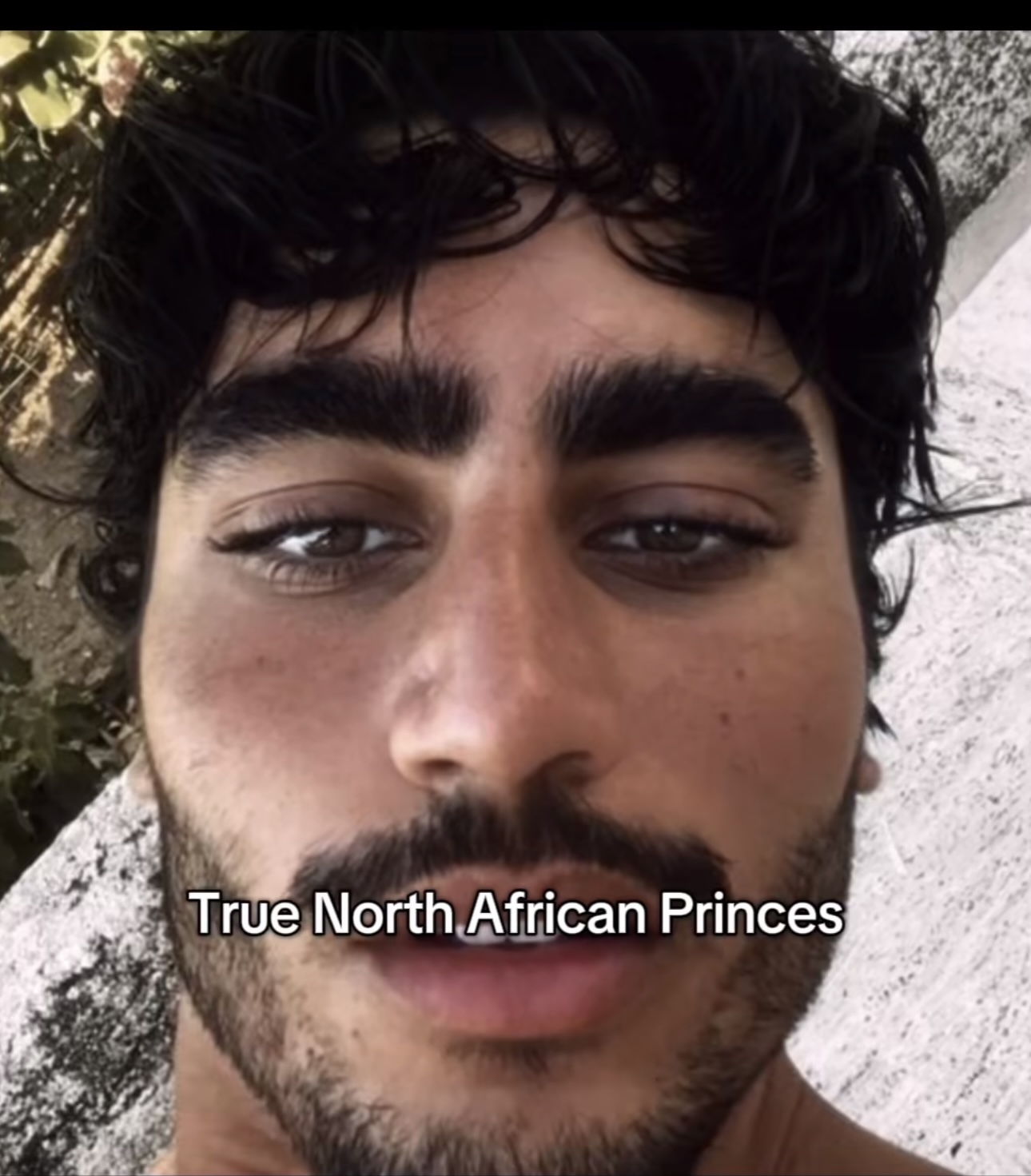 1755137263004