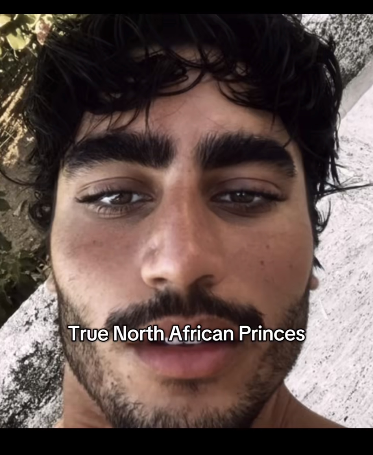1755138660171