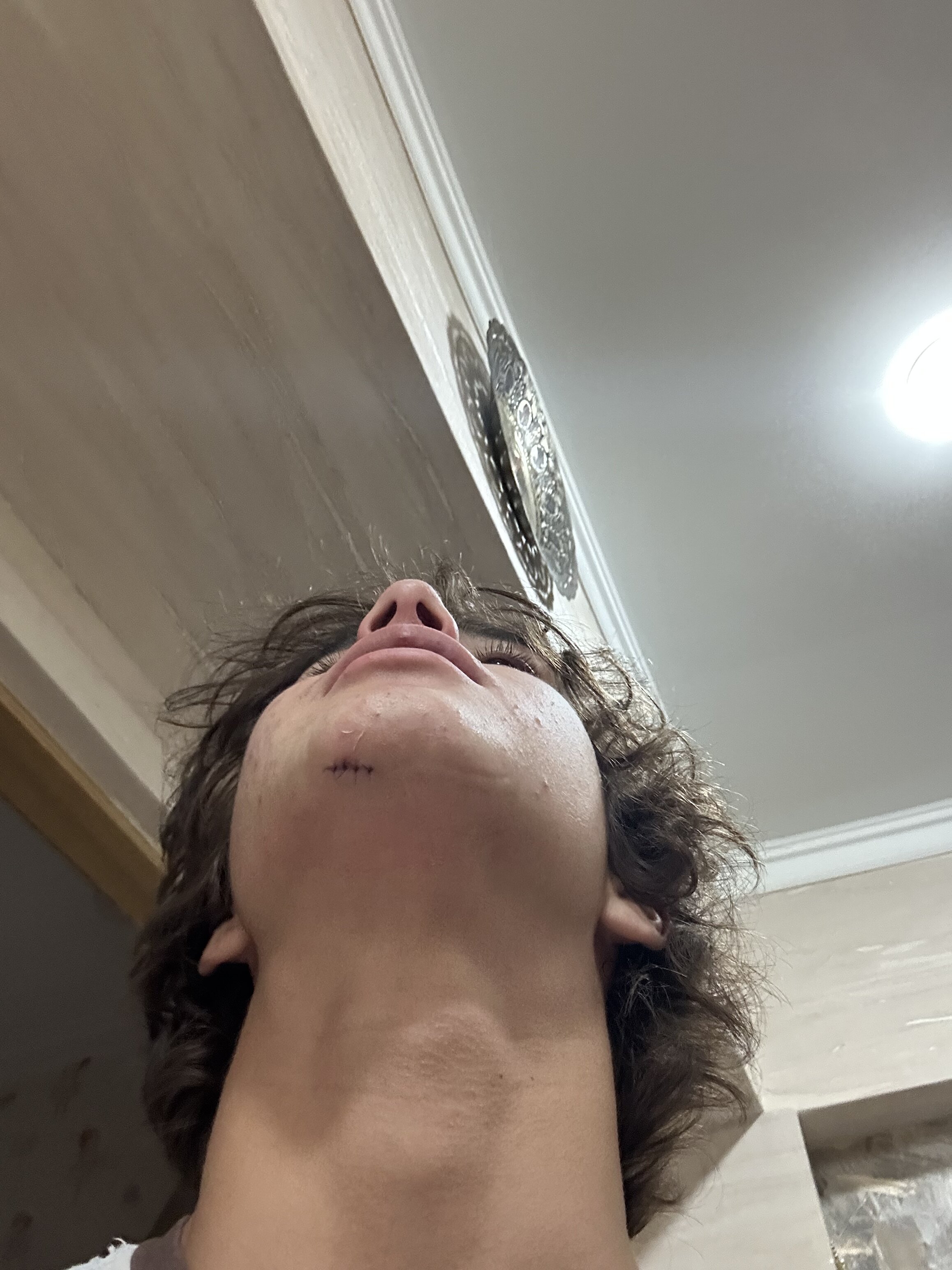 IMG 1558