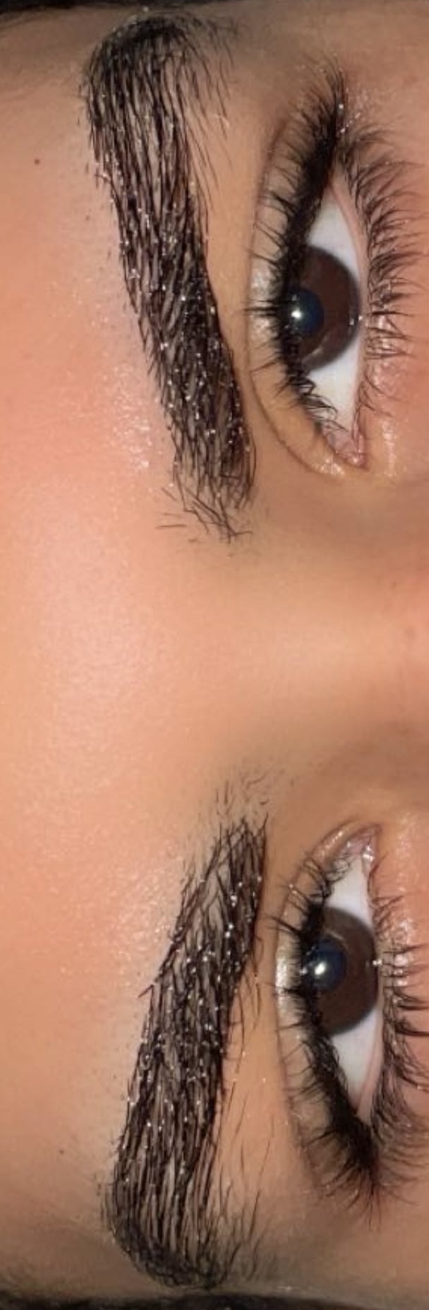 IMG 0513