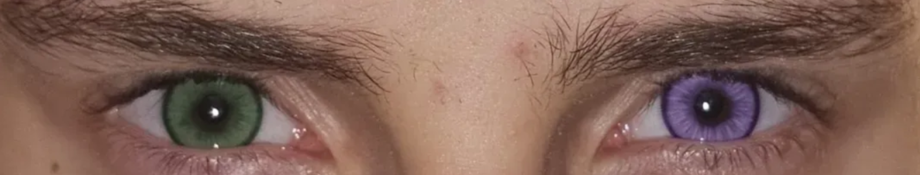 1755208458201