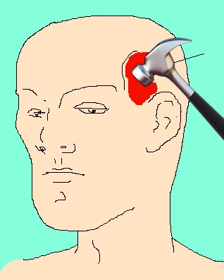 IMG 2656