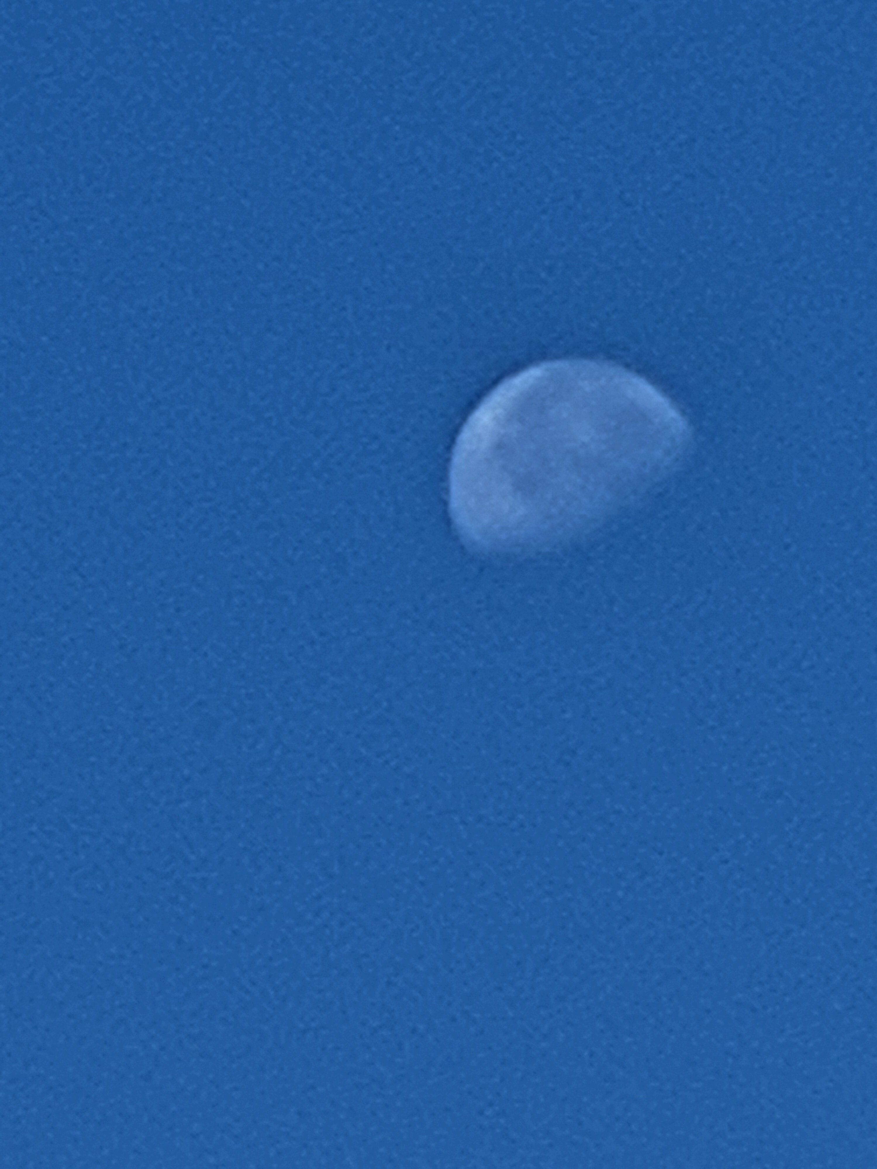 1000018324