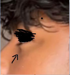 1755220272502