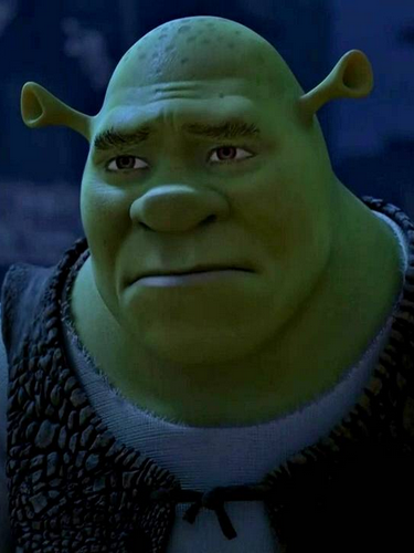29239332
