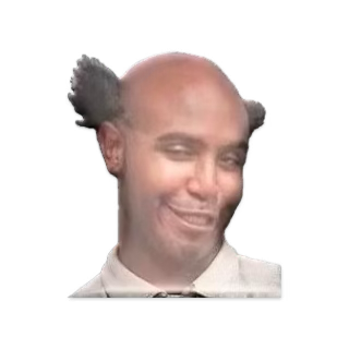 1755241729519