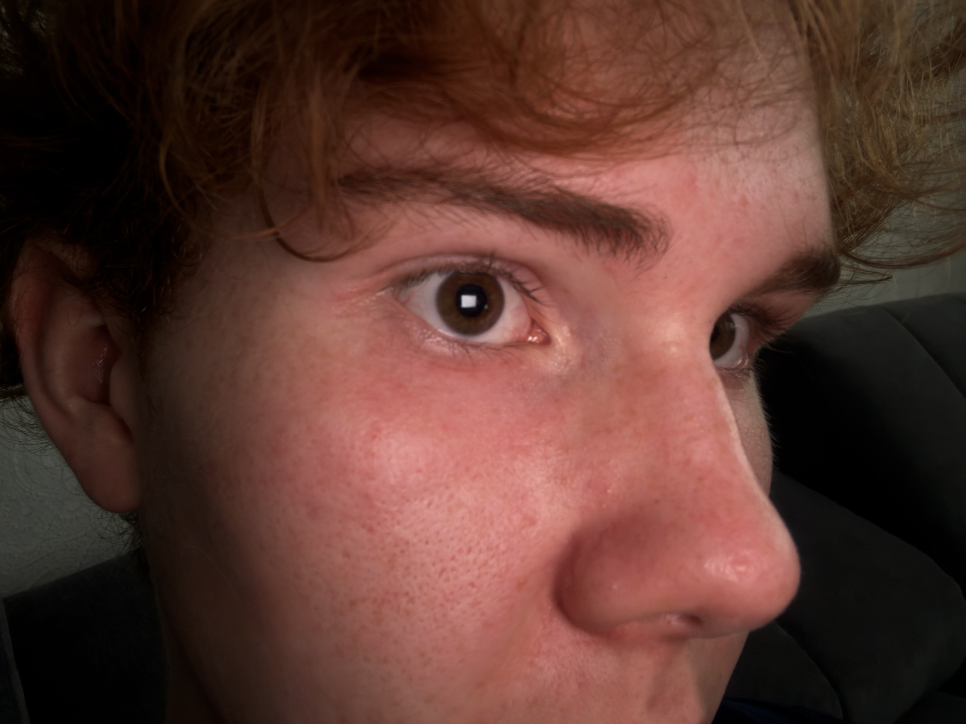 IMG 2787
