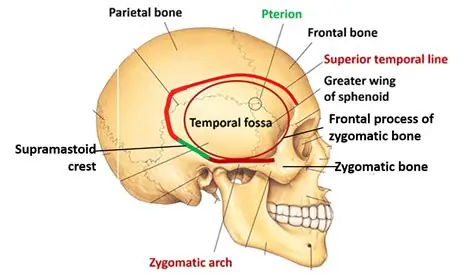 1755262010340