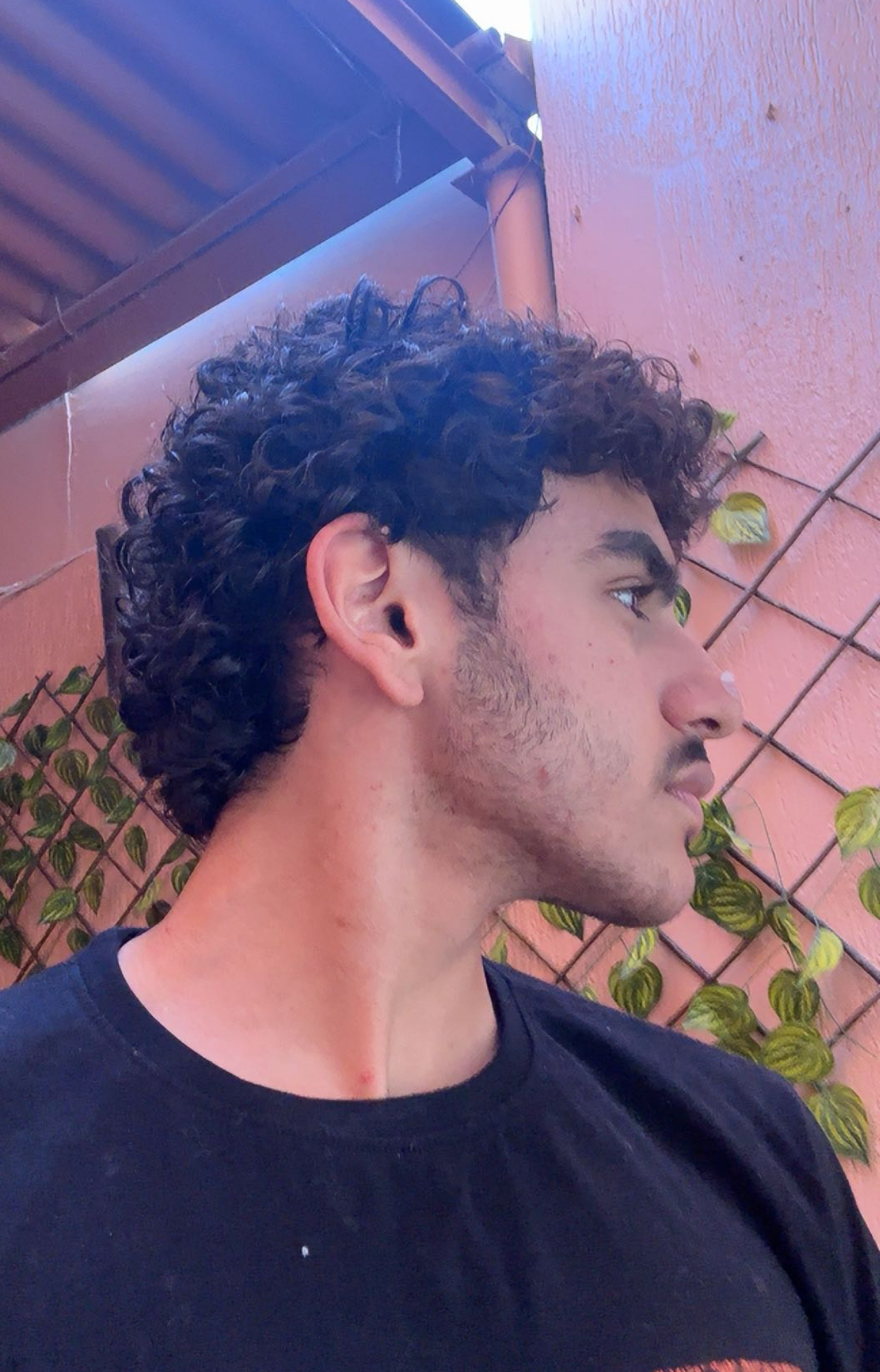 IMG 0317
