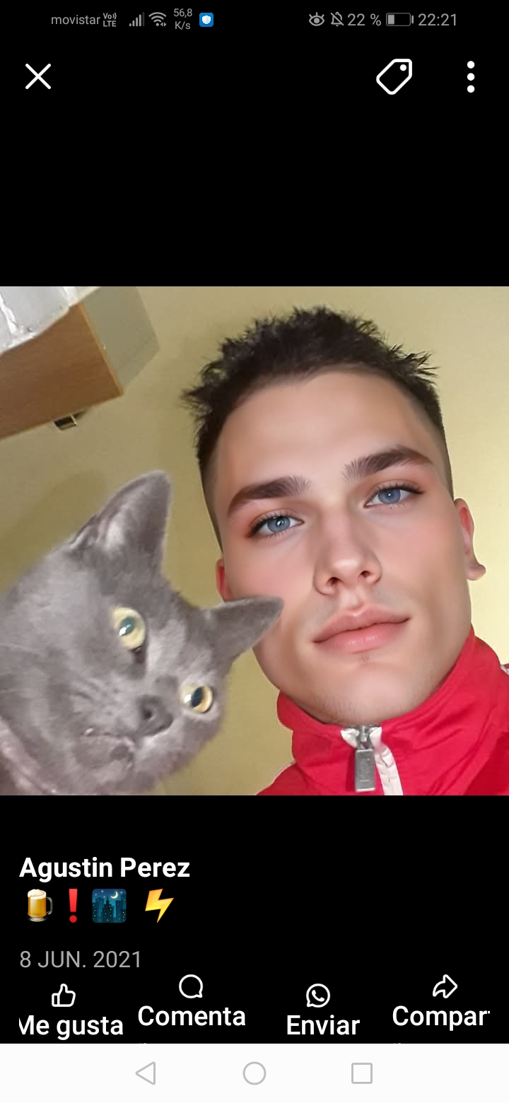 Morphed Chad 1755135528603