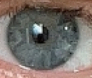 1755391167532