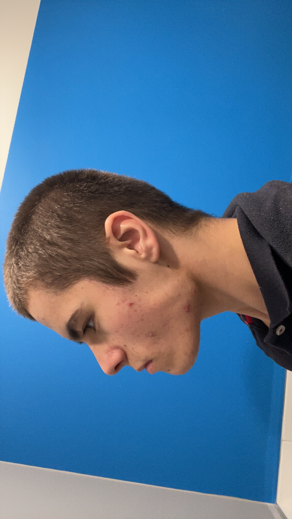 IMG 3548