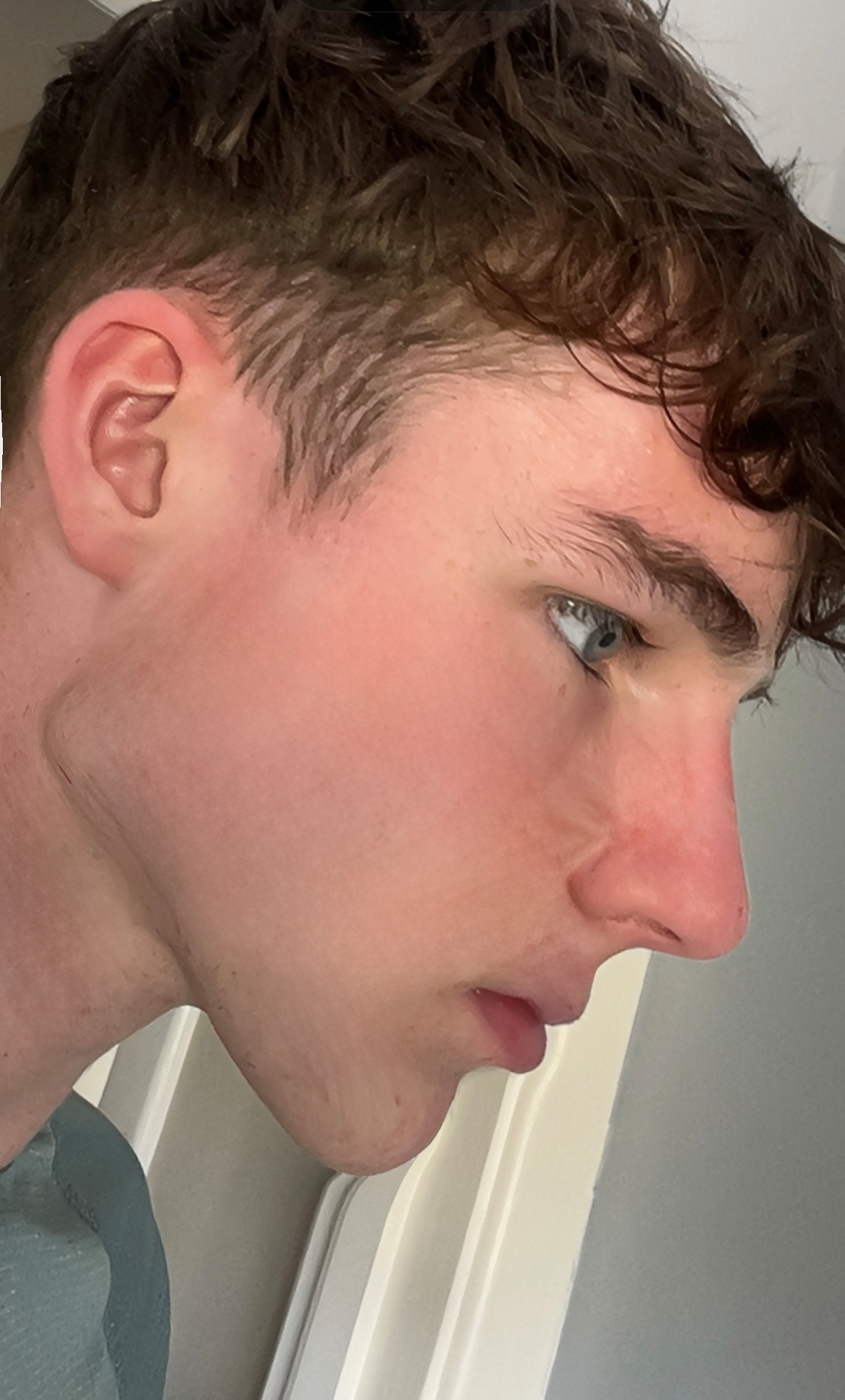 Morphed 2