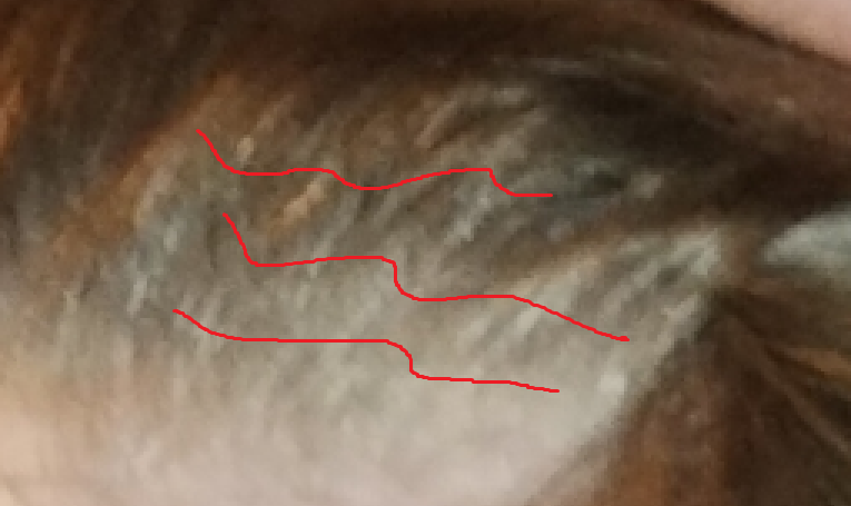 1755456174753