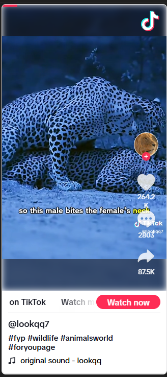 1755462805025