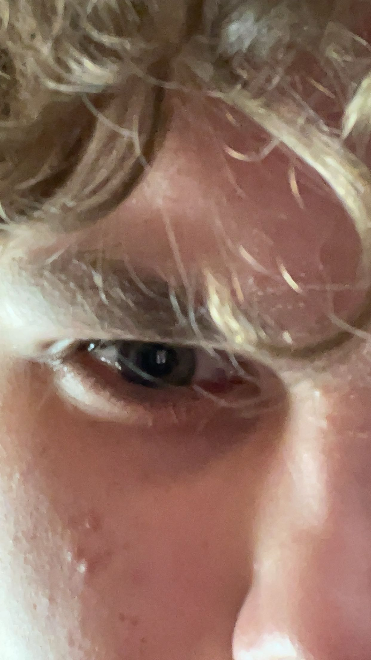 IMG 1747