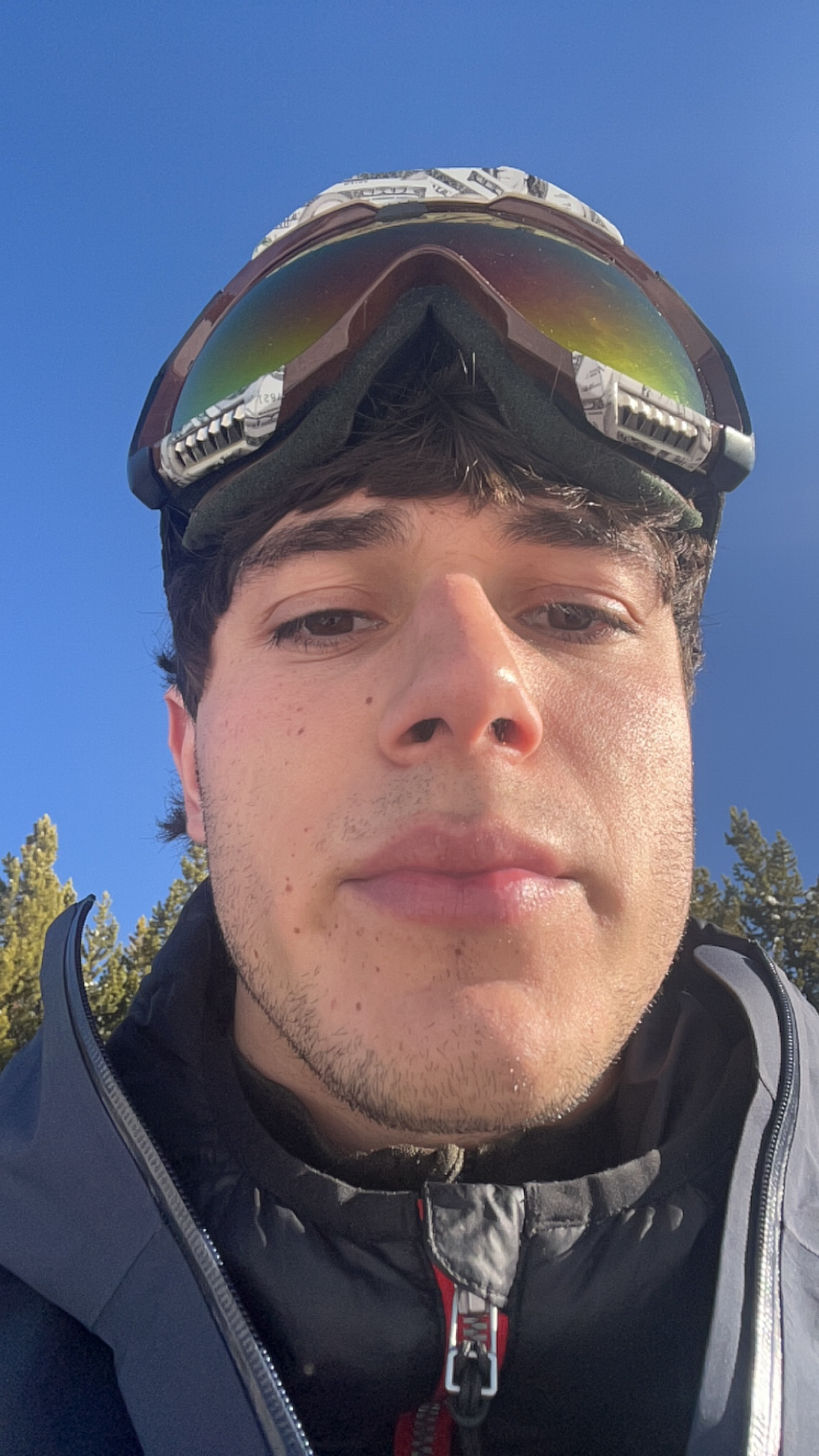 IMG 1520