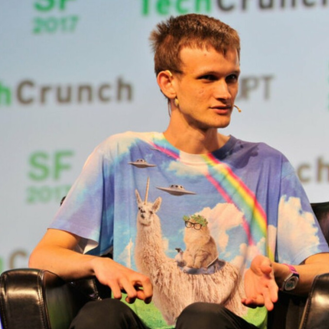Cat unicorn
