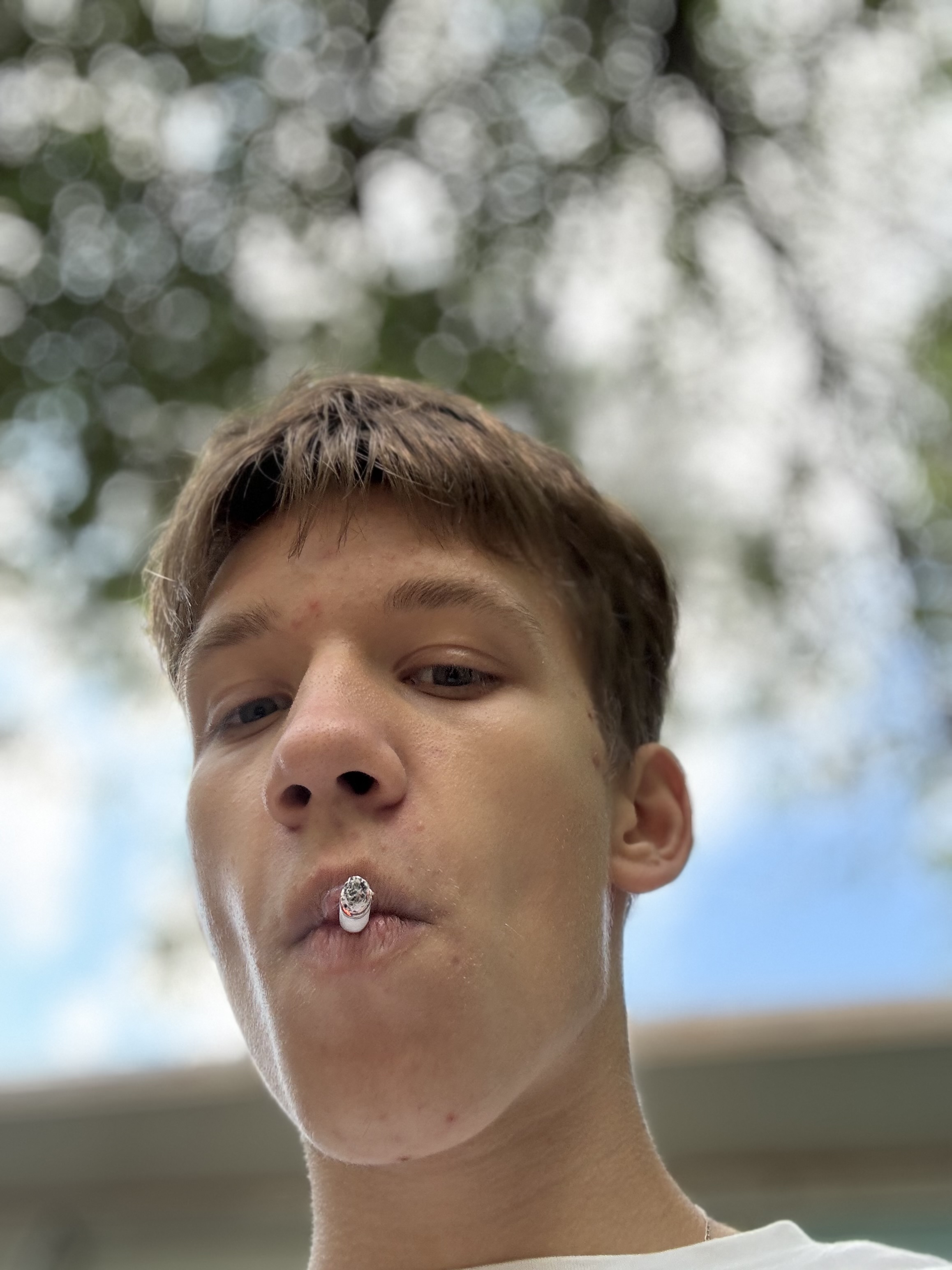 IMG 0083