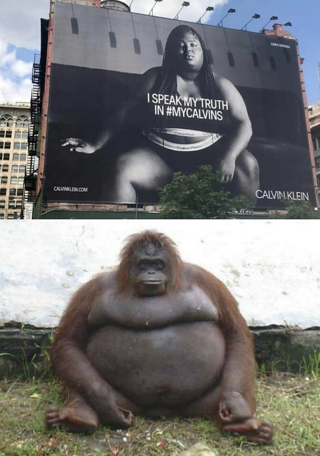 8E5FE451 5C42 425B B15F DC359936F845