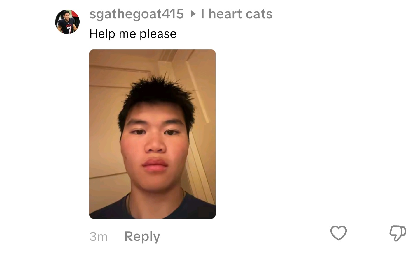 Screenshot 20250819 144230 TikTok