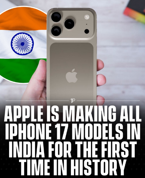 1755685273003
