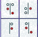 1755731050483