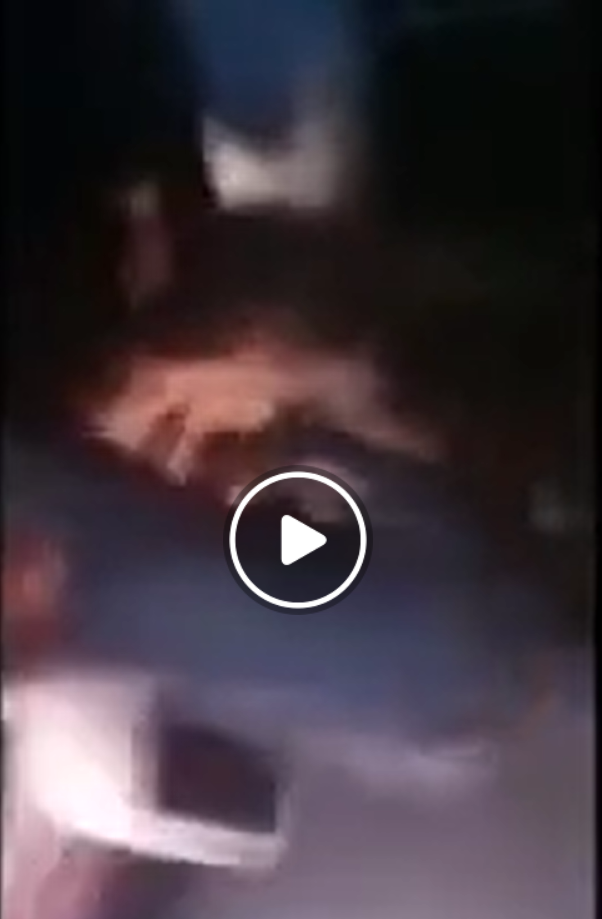 1755766516248