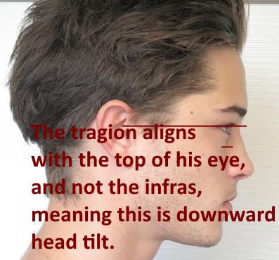 1755786691517