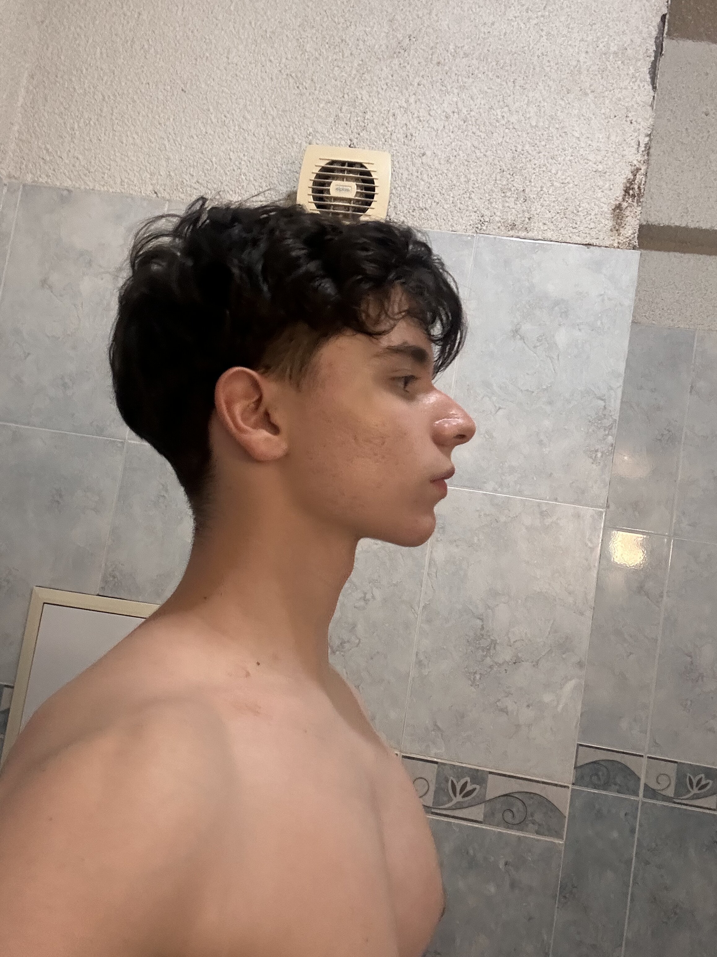 IMG 2986