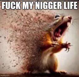 Fuckmyniggerlife