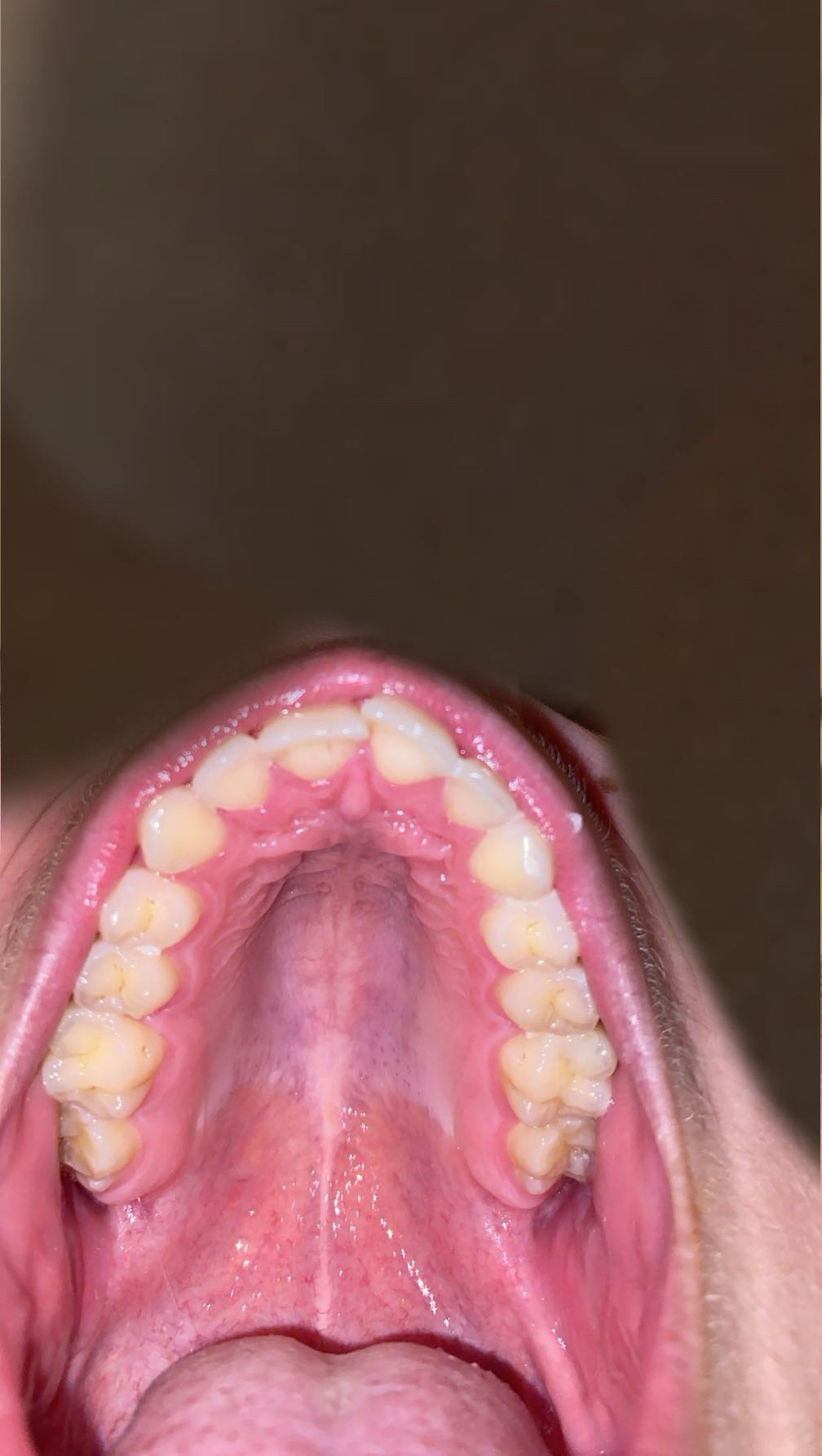 1755825641875 1755825641875
