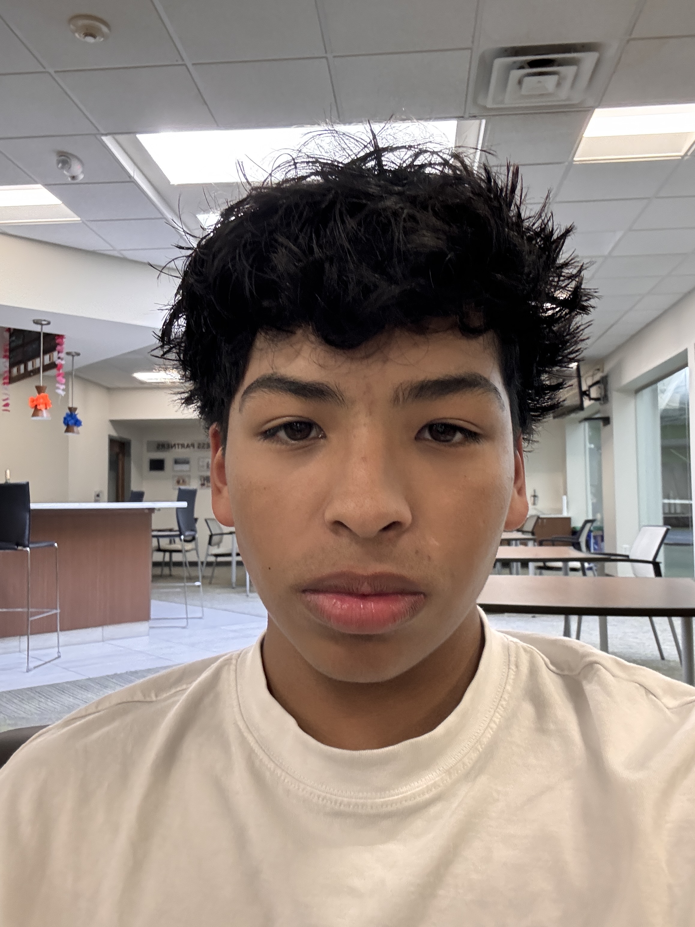 IMG 1291
