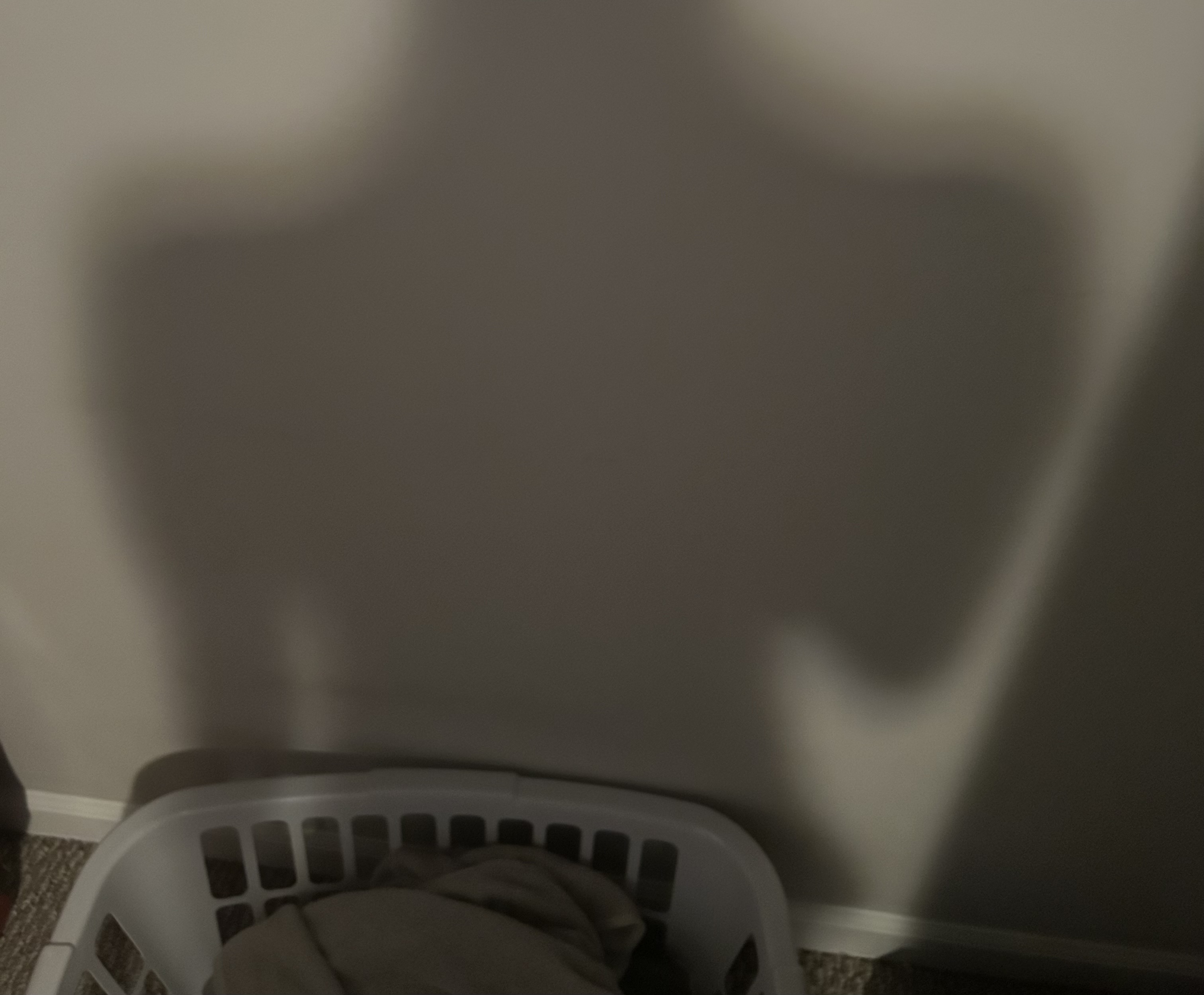 IMG 1508