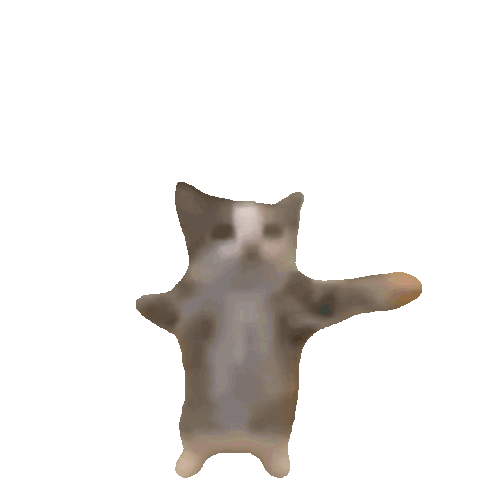 31a72afda250825d993400c3ef28c55c