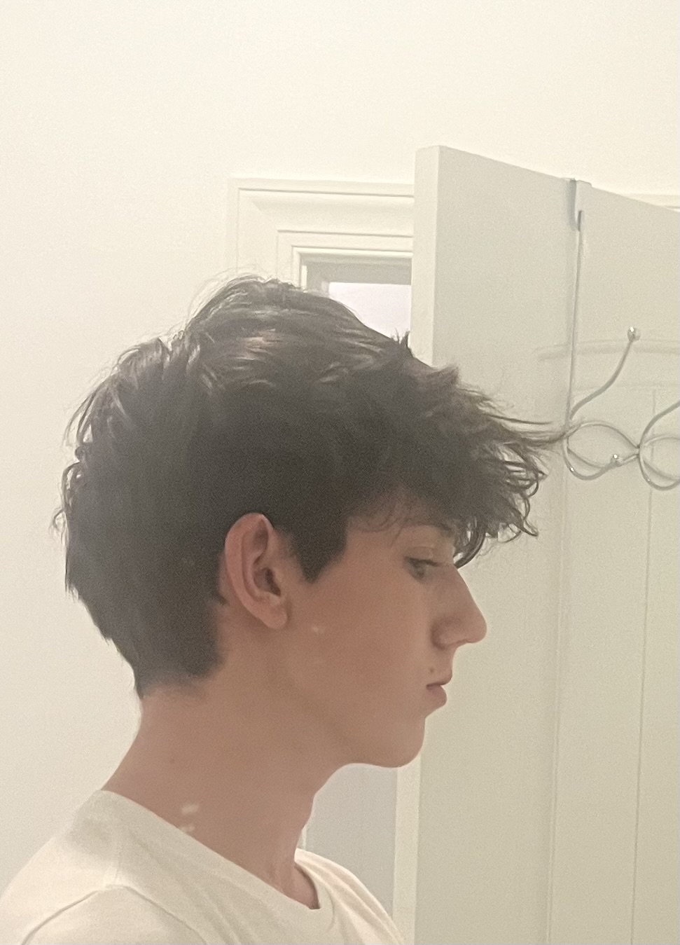 IMG 1397