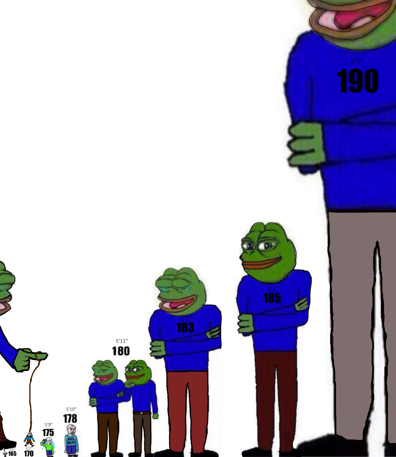 IMG 2513