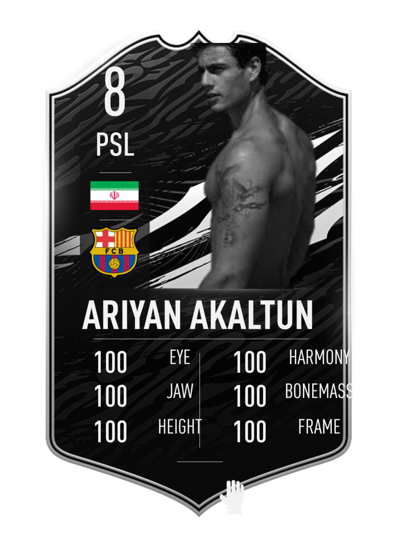 Ariyan Akaltun 2