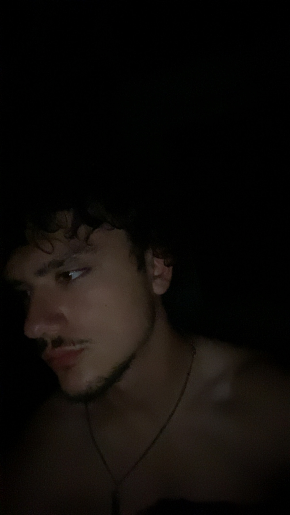 IMG 1371
