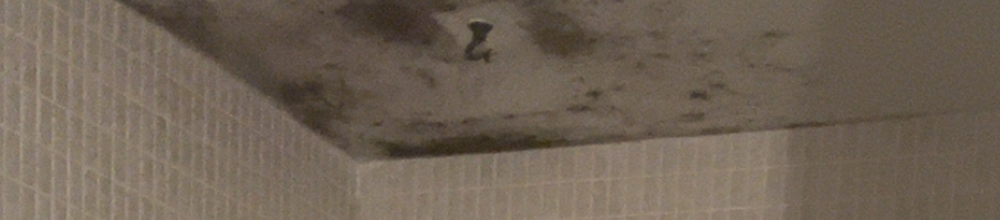 1756093264469