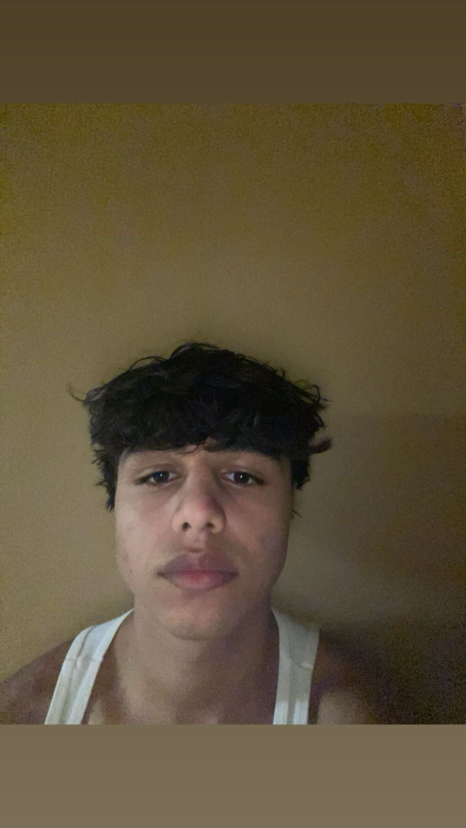 IMG 2735