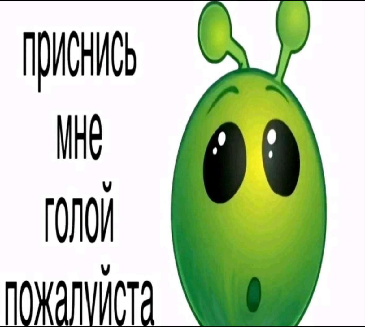 IMG 3879