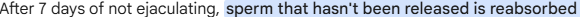 Screenshot 2025 08 25 185351 Screenshot 2025 08 25 185351